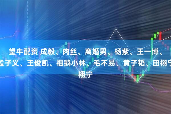 望牛配资 成毅、肉丝、离婚男、杨紫、王一博、孟子义、王俊凯、祖鹅小林、毛不易、黄子韬、田栩宁